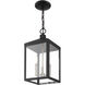 Nyack 3 Light 8.25 inch Black with Brushed Nickel Cluster Outdoor Pendant Lantern