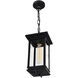 Oakwood 1 Light 6.9 inch Black Outdoor Hanging Light