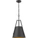 Luxor LED 12 inch Matte Black Mini Pendant Ceiling Light
