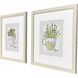Herb & Wildflower II Green and Multi and Gray and Pink Framed Art, Propac