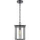 Radnor 1 Light 8 inch Matte Black Outdoor Pendant