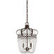Rochelle 2 Light 12 inch New Tortoise Shell with Silver Pendant Ceiling Light