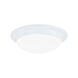 Nash 2 Light 14 inch White Flush Mount Ceiling Light