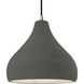 Radiance LED 13.5 inch Pewter Green and Brushed Nickel Pendant Ceiling Light
