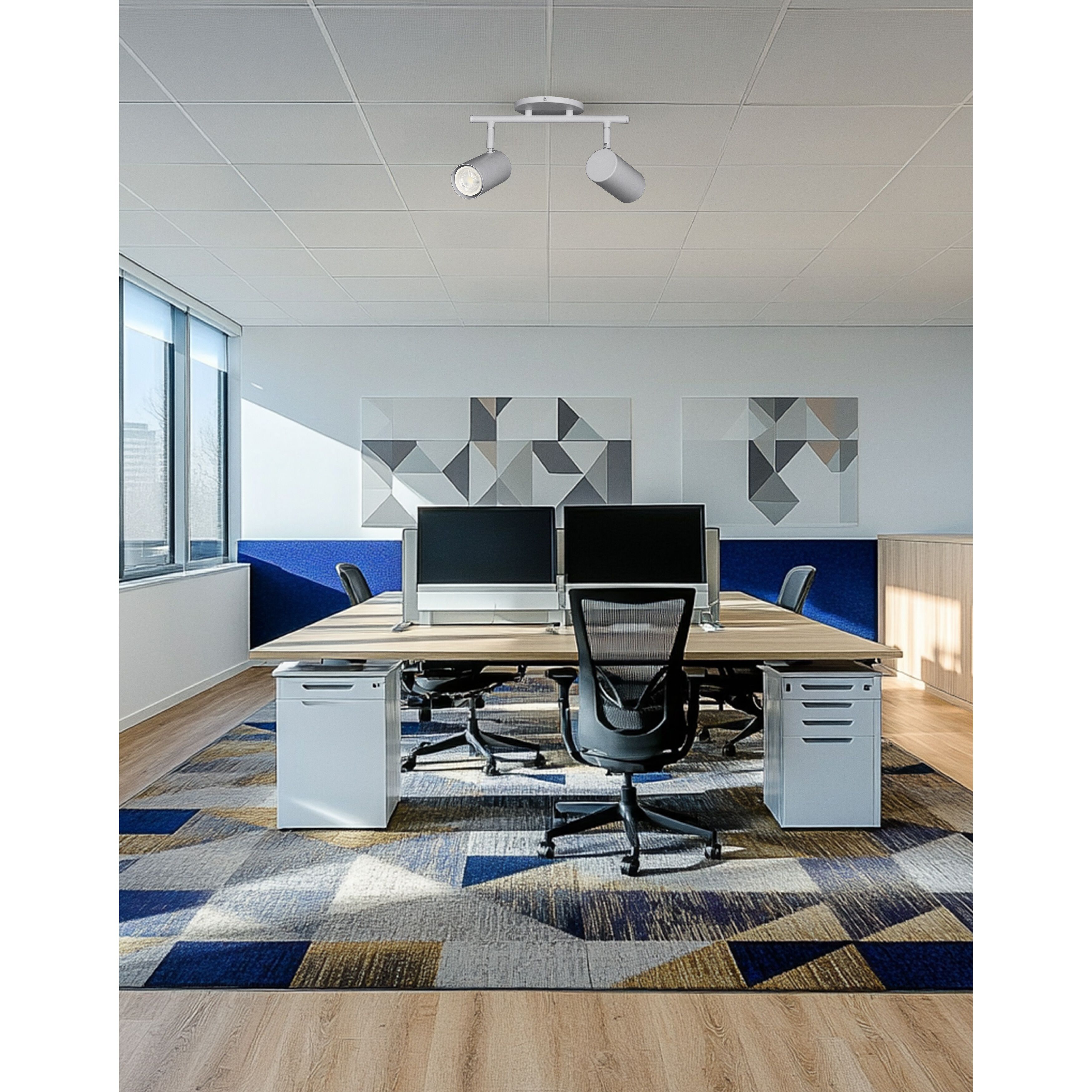 Taylor 2 Light 120 Satin Chrome Track Light Ceiling Light, Fixed Arm