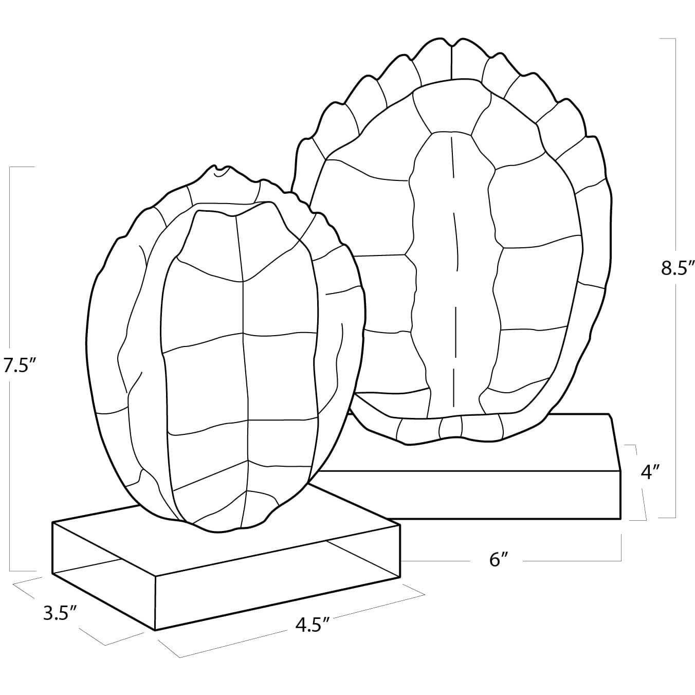 Turle Shells Natural Objet, On Crystal