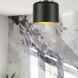 Emilia 1 Light 8 inch Aged Brass with Matte Black Flush Mount Ceiling Light