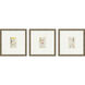 Antique Botanical Green and Beige and Multi and Neutral Framed Art