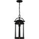 Clifton 1 Light 9 inch Earth Black Outdoor Hanging Lantern