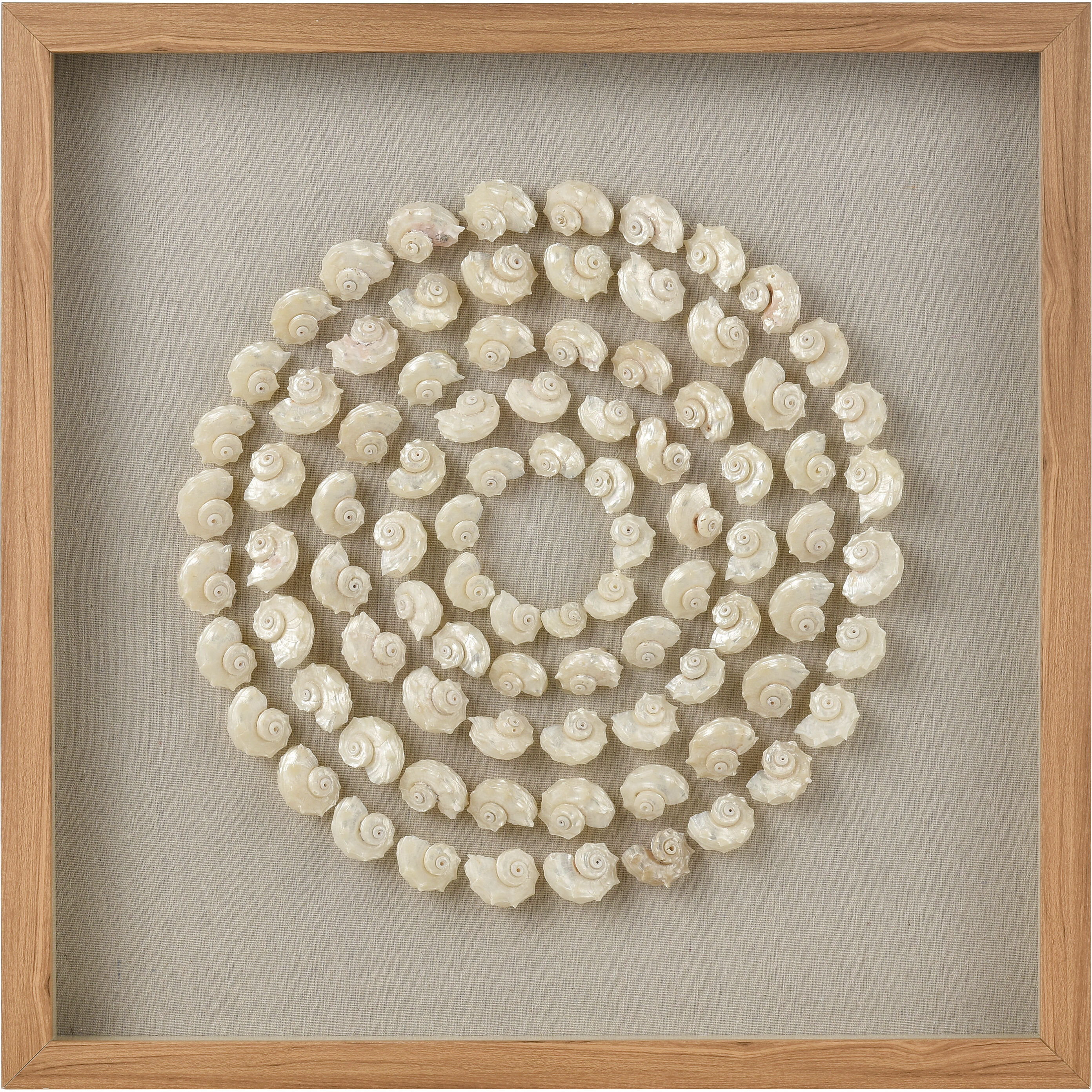 Concentric Shell Natural with Wood Tone and Clear Dimensional Wall Art