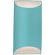 Ambiance Outdoor Wall Sconce