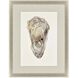 Crassostrea Virginica Neutral and Metallic and Beige and Gray Framed Art, The Studio