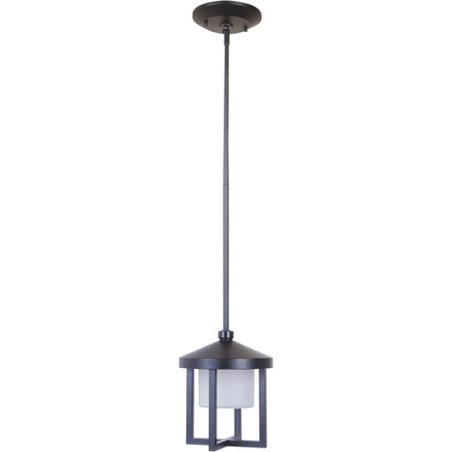 Alta LED 8 inch Midnight Outdoor Pendant, Medium