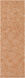 Aiden 96 X 30 inch Burnt Orange Rug in 2.5 x 8, Runner