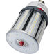 Hi-Pro LED LED 100.00 watt 3000K HID Replacements