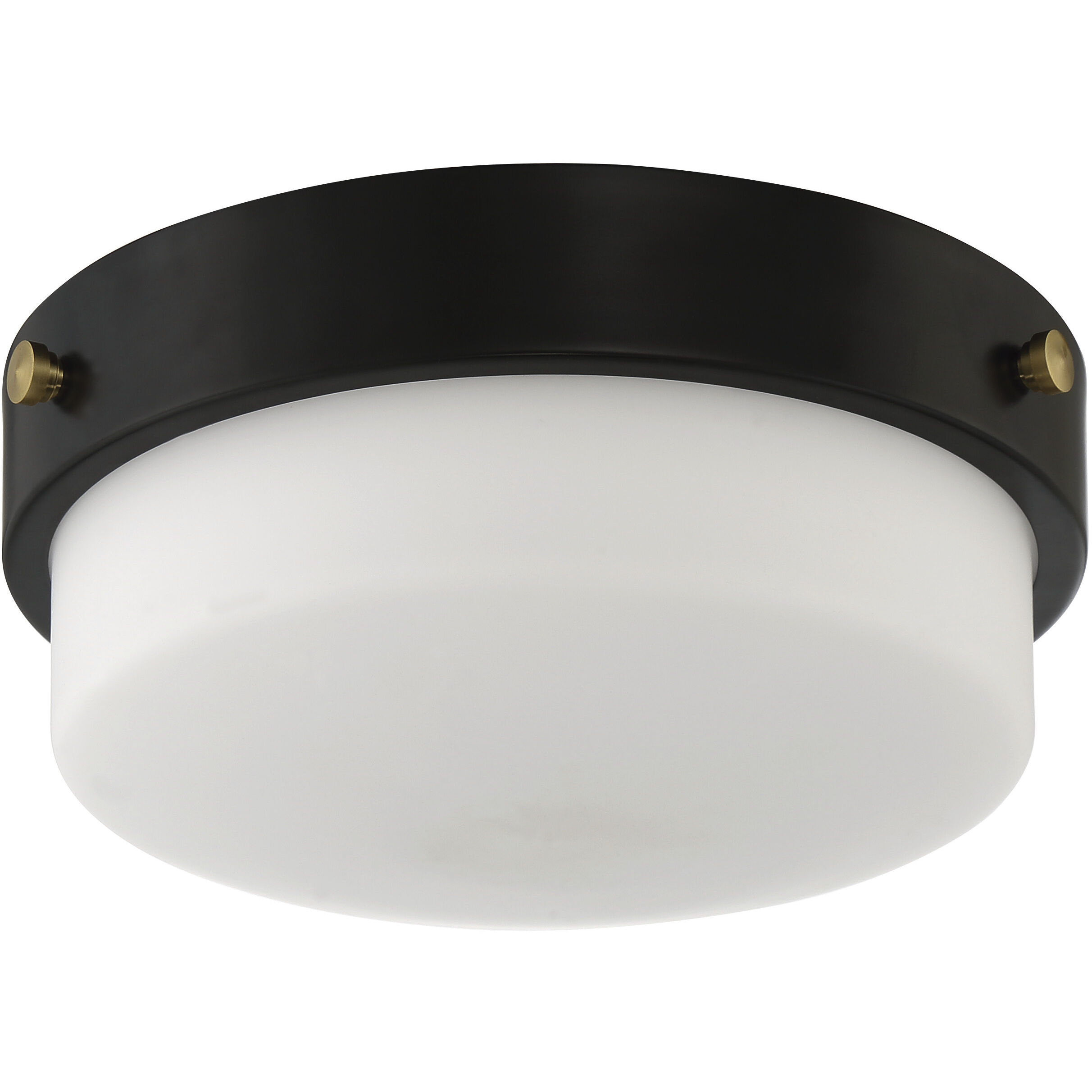 Oak Street 2 Light 11 inch Flat Black Flushmount Ceiling Light