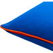 Ackerly 20 X 20 inch Blue/Orange Accent Pillow