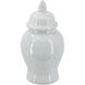 Anita 12.2 X 6.3 inch Ginger Jar in Ivory