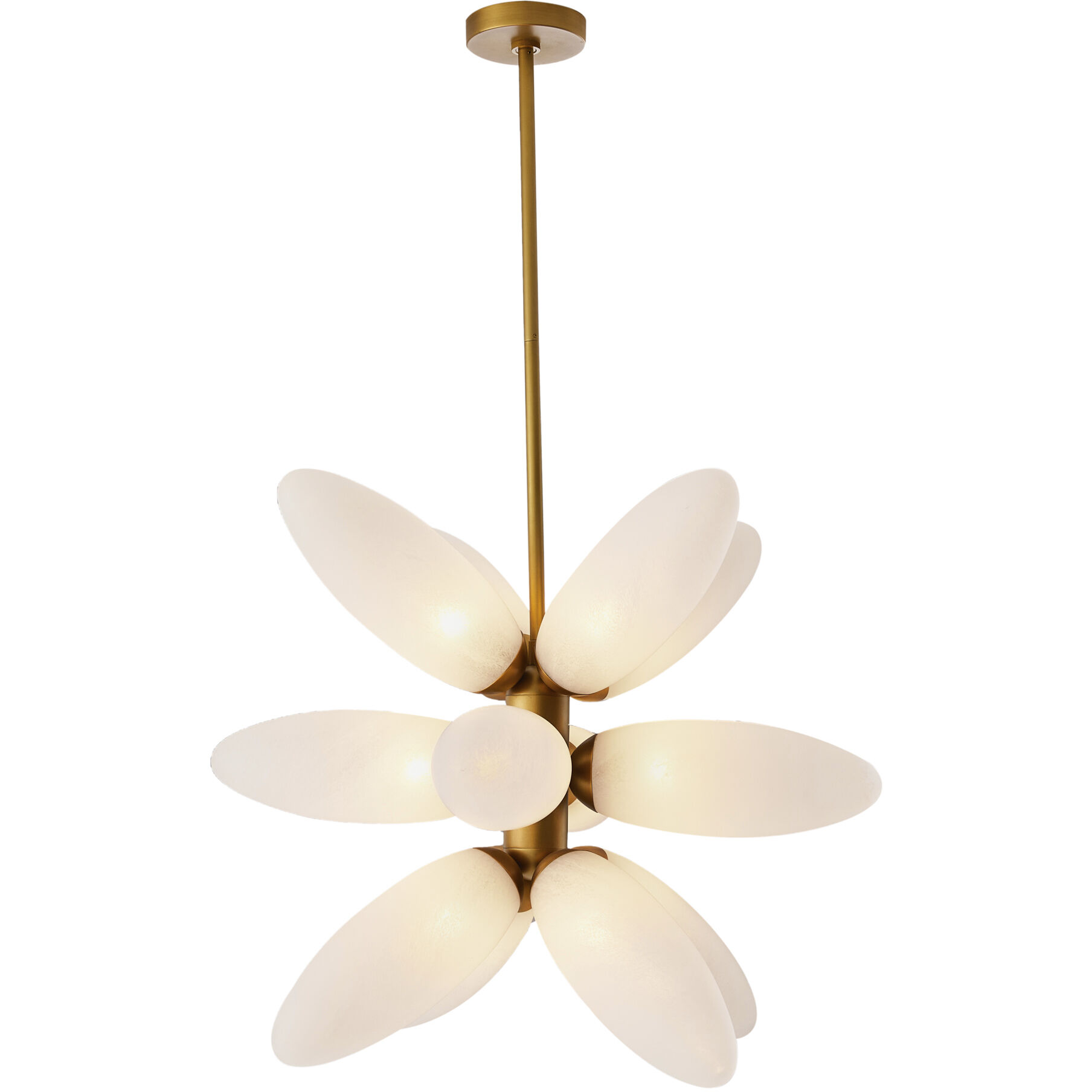 Starling 12 Light 27 inch Brushed Brass Chandelier Ceiling Light