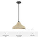 Agoura 1 Light 14 inch Matte Black Pendant Ceiling Light, Medium