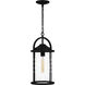 Reece 1 Light 8.75 inch Earth Black Outdoor Hanging Lantern