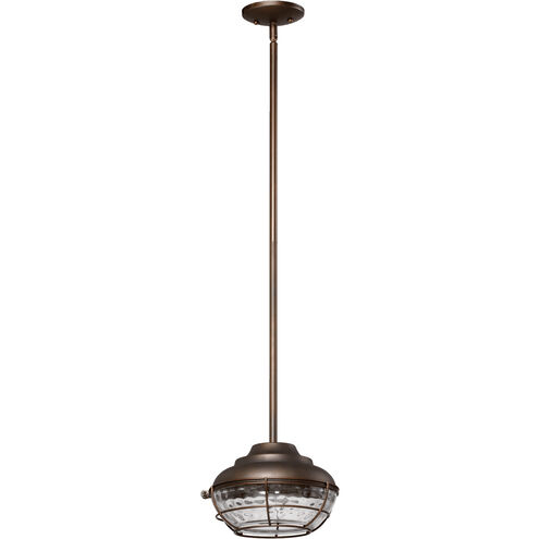 Hudson 1 Light 9.75 inch Oiled Bronze Outdoor Pendant