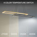 Double Entendre Linear Pendant Ceiling Light in 2700K, dweLED