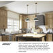 Argo LED 14 inch Heritage Brass Indoor Pendant Ceiling Light in Heritage Brass / Clear Seedy