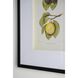 Smithsonian Black and Green/Yellow Wall Art, Assorted Fruit