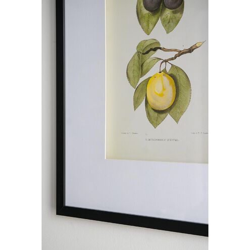 Smithsonian Black and Green/Yellow Wall Art, Assorted Fruit
