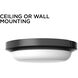 Dean LED 8 inch Black Outdoor Flush Mount