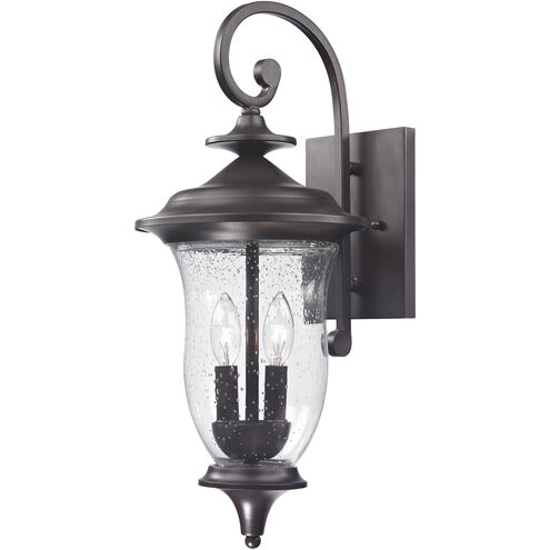Trinity 2 Light 22 inch Oil Rubbed Bronze Outdoor Sconce, Medium