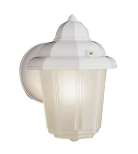 Dale 1 Light 9 inch White Outdoor Wall Lantern