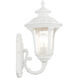 Oxford 1 Light 16 inch Textured White Outdoor Wall Lantern