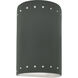 Ambiance Collection LED 9.5 inch Pewter Green Outdoor Wall Sconce