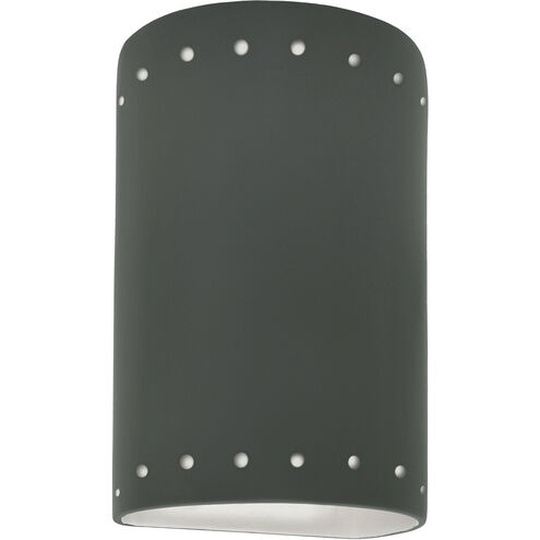 Ambiance Collection LED 9.5 inch Pewter Green Outdoor Wall Sconce