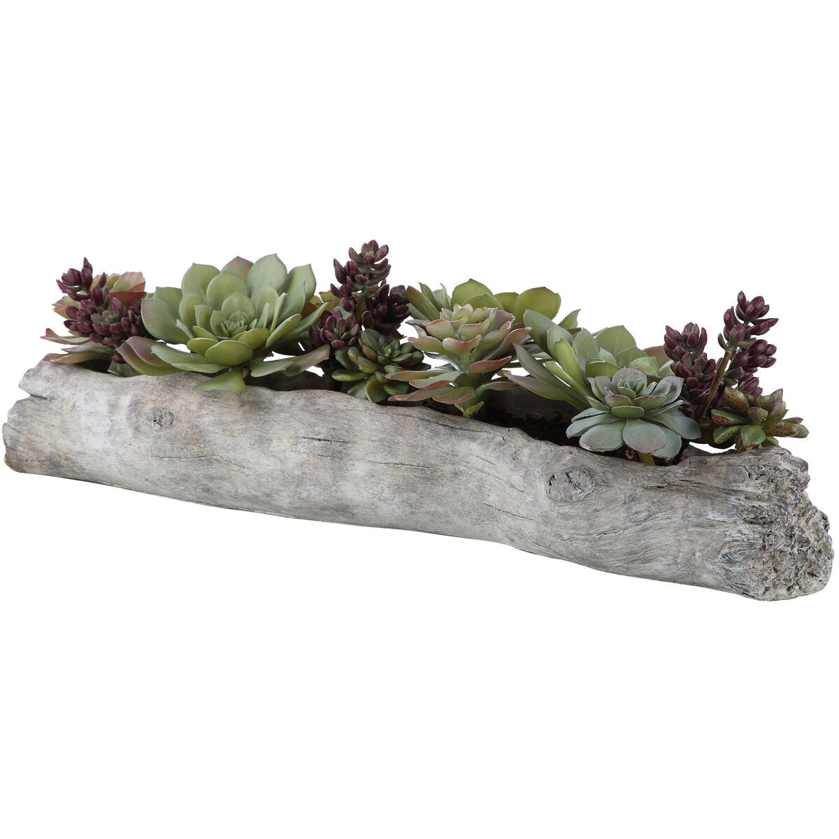 Charita Solid Concrete Succulents