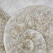 Coastal II Beige with Off White and Champagne Gold Framed Wall Art