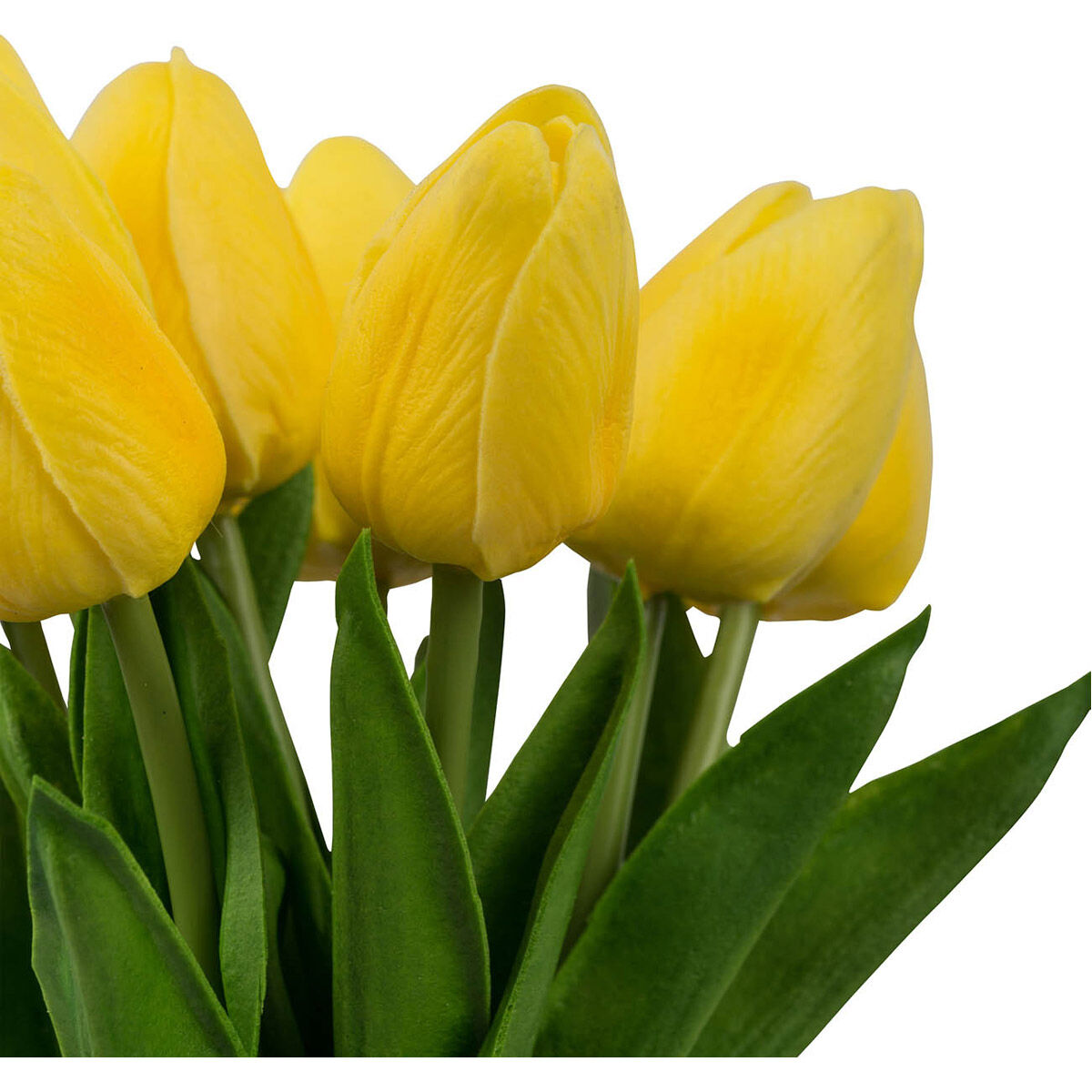 Almost Real White Stems