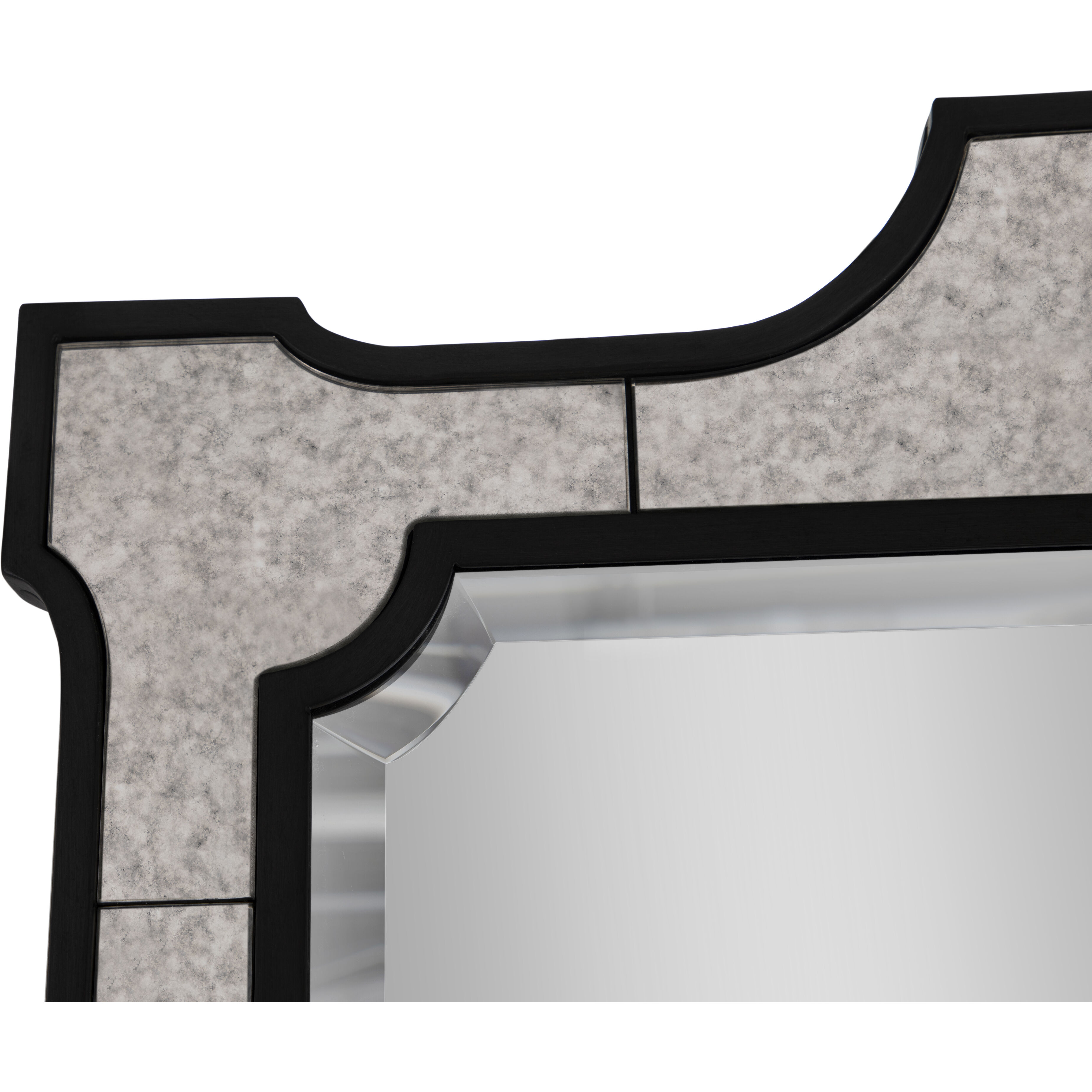 Chantel 77.75 X 37 inch Clean Mirror and Antique Mirror with Black Forged Iron Mirror