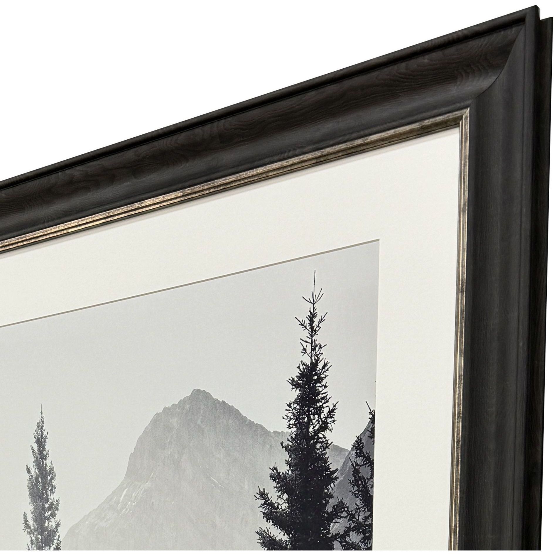 Kanaskis Country Gray and Black and Multi and White Framed Art