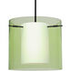 Pahu 12 LED Black Stem Pendant Ceiling Light