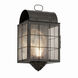 Durham 1 Light 16.88 inch Dark Brass Outdoor Sconce in Seedy Glass, Brass Traditions by Innovations Lighting