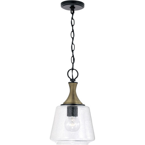 Amara 1 Light 9 inch Matte Black with Brass Pendant Ceiling Light