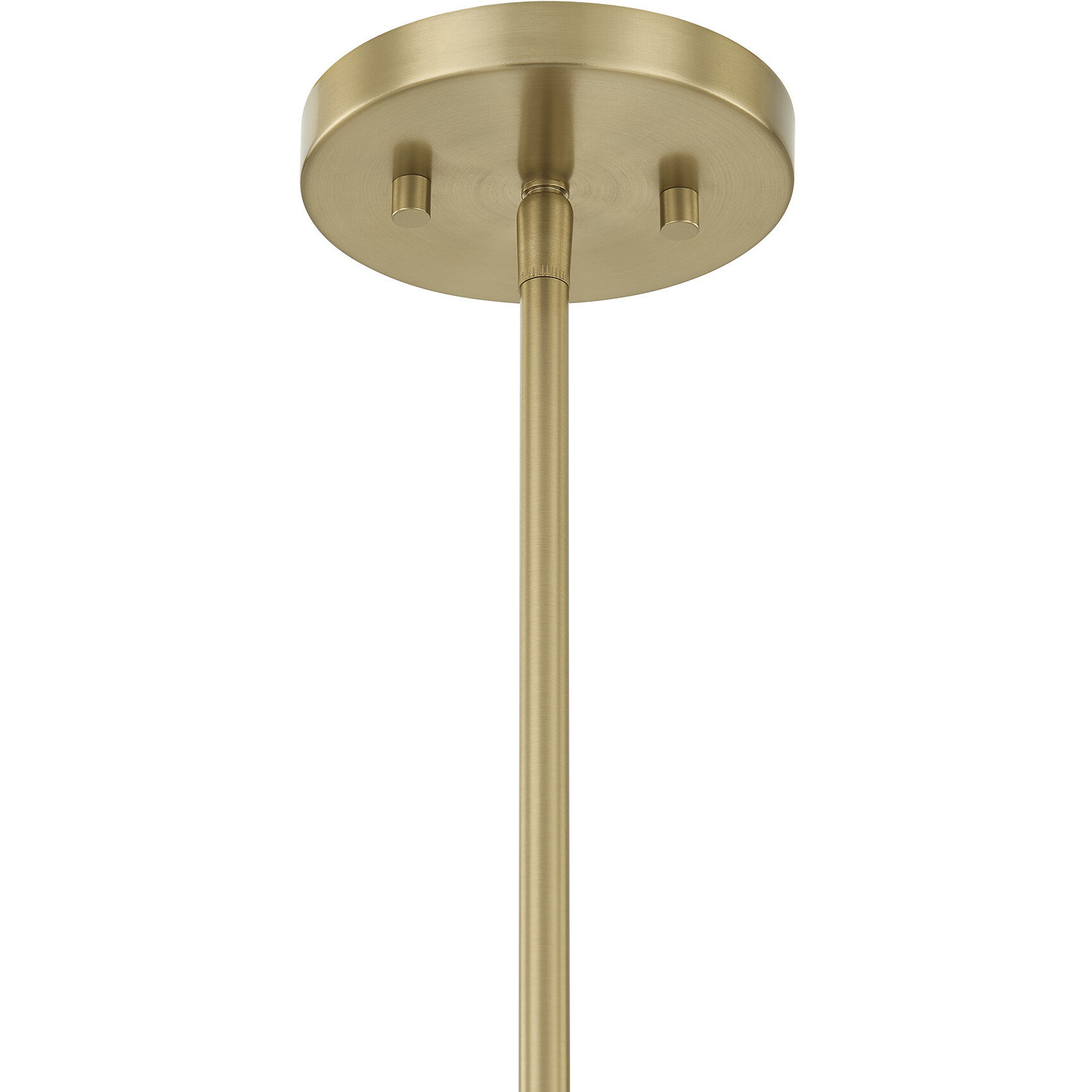 Rosa 4 Light 18.5 inch Noble Brass Pendant Ceiling Light