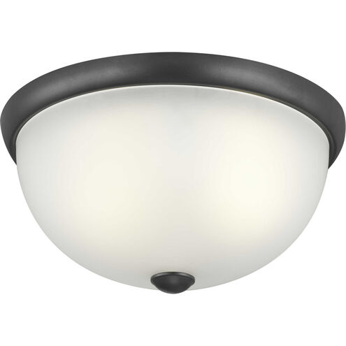 Glass Domes 2 Light 14 inch Graphite Flush Mount Ceiling Light