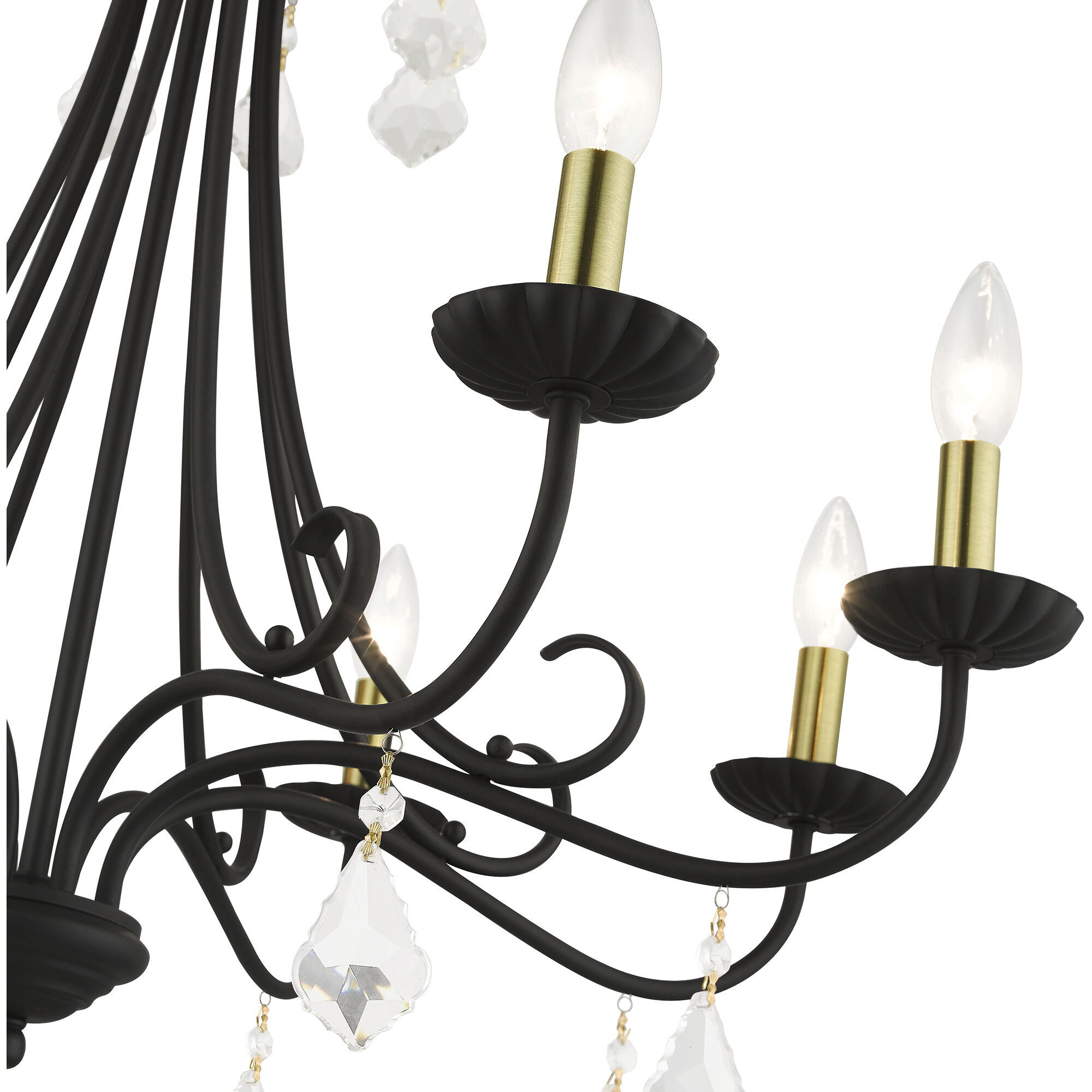 Daphne 8 Light 29.75 inch Black with Antique Brass Finish Accents Chandelier Ceiling Light in Black with Antique Brass Accents, Large