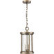 Brison 2 Light 8 inch Vintage Brass Outdoor Pendant