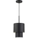 Zolana 1 Light 8.5 inch Black Mini Pendant Ceiling Light