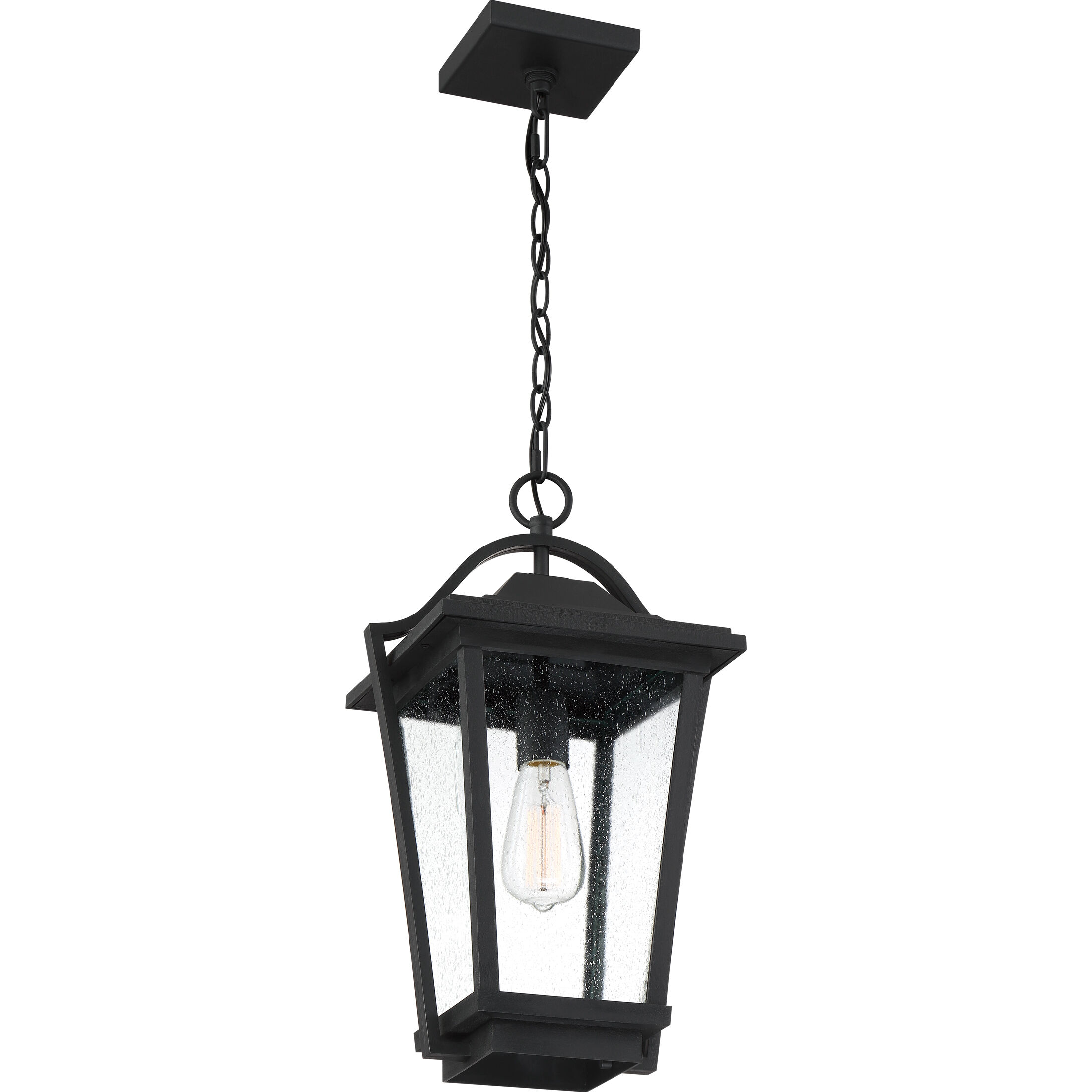 Darius 1 Light 11 inch Earth Black Outdoor Hanging Lantern